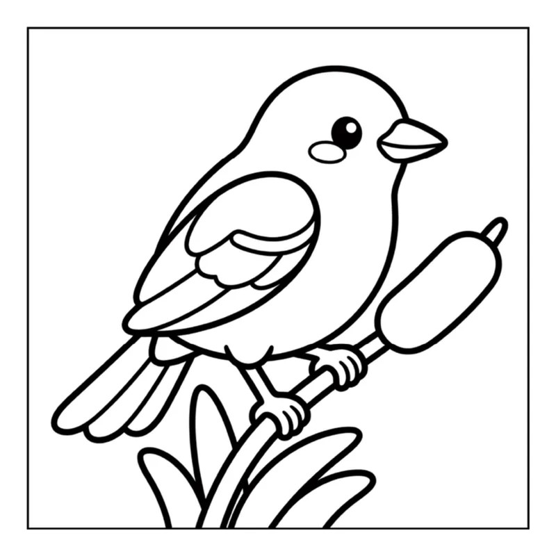 Sample interior page 1 from Backyard Birding